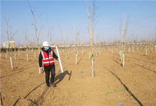 面對疫情,中建五局園林青年不一young!