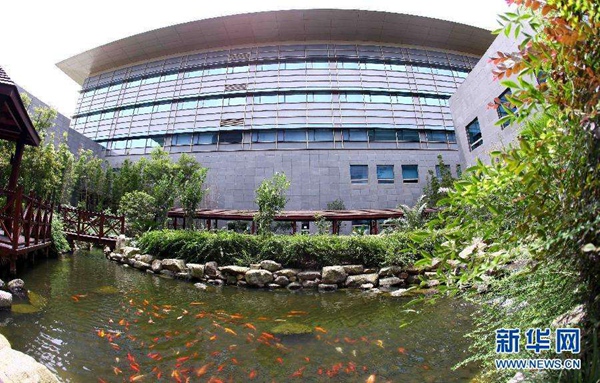 李樹華:園藝療法保持復工后身心健康