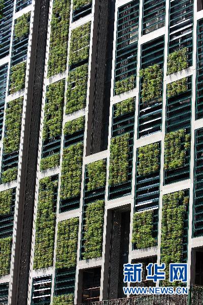 李樹華:園藝療法保持復工后身心健康