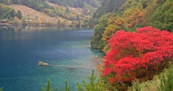 杭州錢塘江兩岸未來將被打造成世界級濱水綠廊