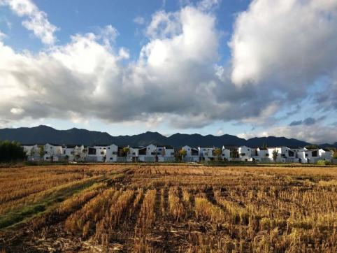 杭州錢塘江兩岸未來將被打造成世界級濱水綠廊