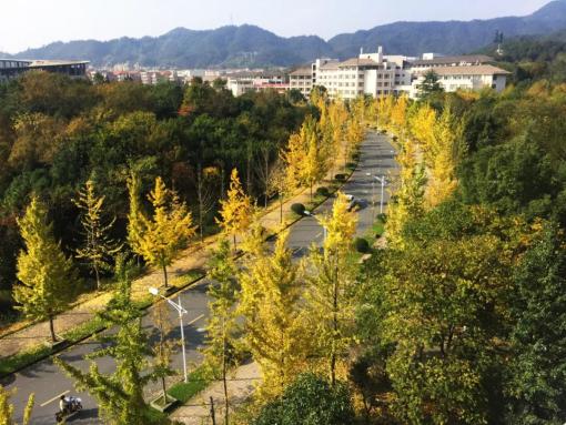 杭州錢塘江兩岸未來將被打造成世界級濱水綠廊