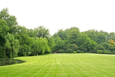 杭州錢塘江兩岸未來將被打造成世界級濱水綠廊