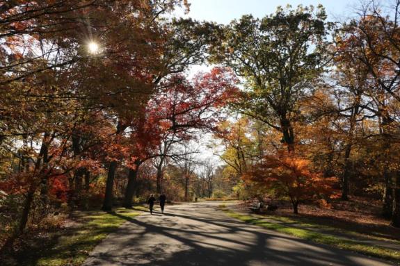 杭州錢塘江兩岸未來將被打造成世界級濱水綠廊