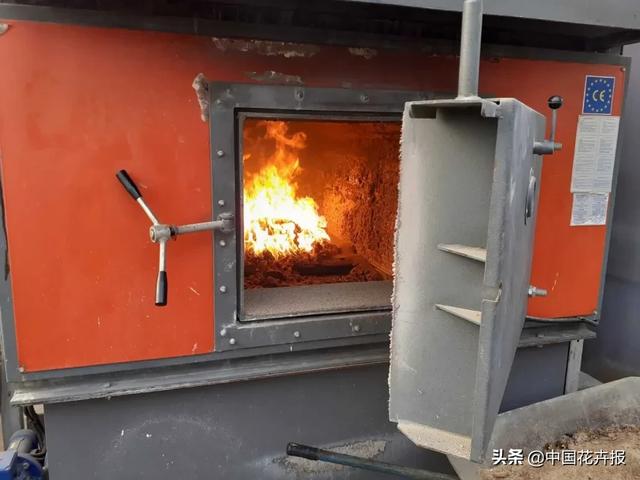 大量國(guó)際花展取消,眾多國(guó)家花企深陷困境