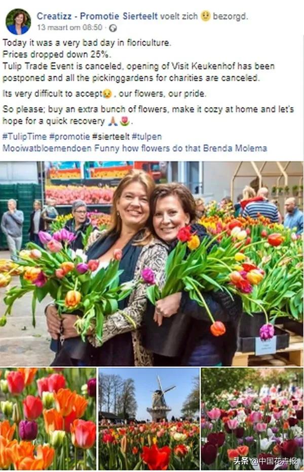 大量國(guó)際花展取消,眾多國(guó)家花企深陷困境