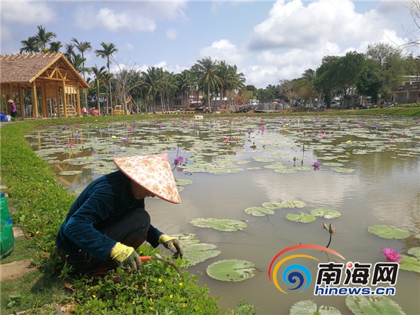 海南大山泰景觀發動村民參與文旅項目建設