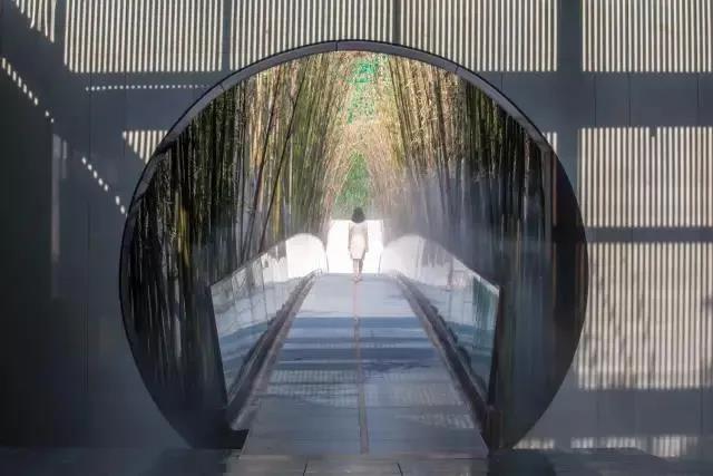 直播課預告:奧雅如何從平凡到卓越