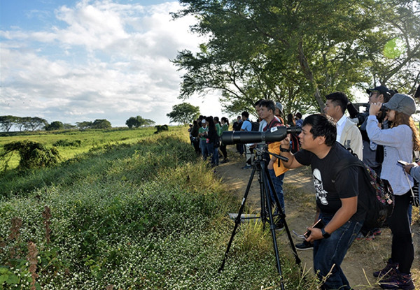 Sharon Perion:通過景觀干預進行的坎達巴沼澤保護