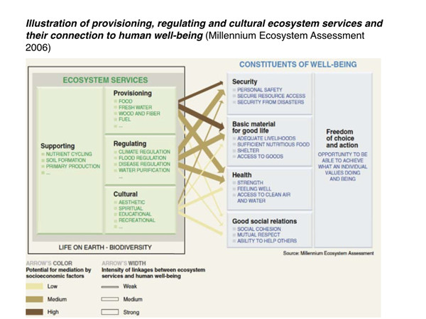 Sharon Perion:通過景觀干預進行的坎達巴沼澤保護