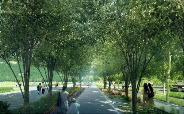 北京冬奧會(huì)規(guī)劃設(shè)計(jì)都有哪些亮點(diǎn)?