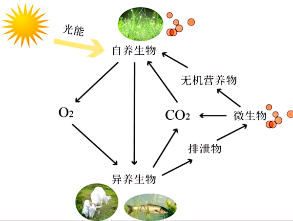 水生態(tài)系統(tǒng)保護(hù)、修復(fù)、利用的思考與實踐
