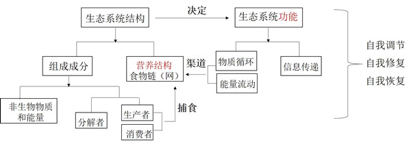 水生態(tài)系統(tǒng)保護(hù)、修復(fù)、利用的思考與實踐