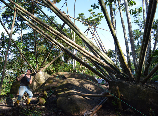 如何利用場地現有資源進行系統建造