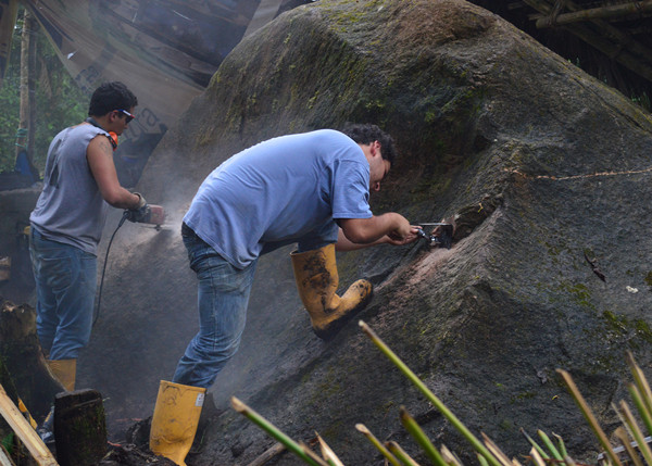 如何利用場地現有資源進行系統建造
