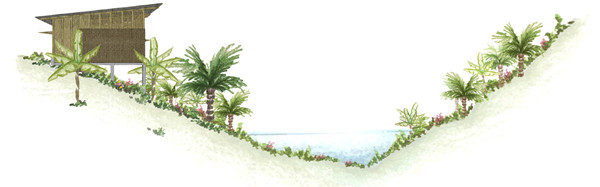 如何利用場地現有資源進行系統建造