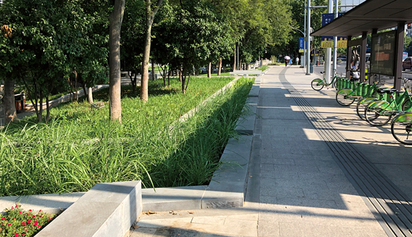 淺談水生態保護與城市的協同發展