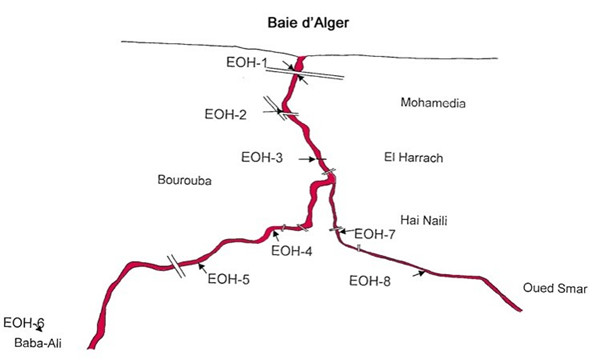 Emmanuel Pouille:濕地的生態系統以及治理對策