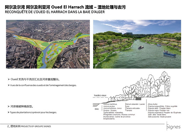 Emmanuel Pouille:濕地的生態系統以及治理對策