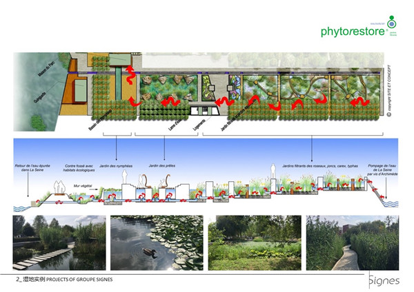 Emmanuel Pouille:濕地的生態系統以及治理對策
