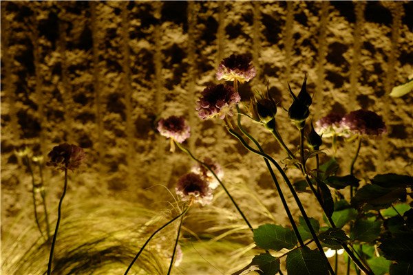 慢客景觀丨2020世界花園大會“江南水里”展園