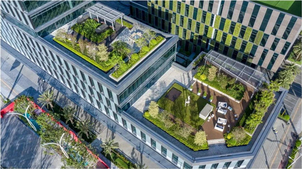 直播課:SED新西林帶你突破景觀邊界