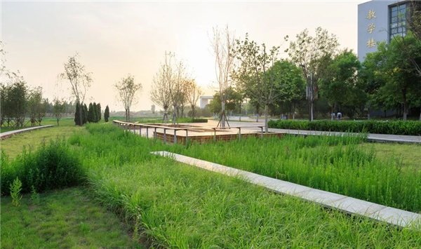 阿普貝斯丨遷安海綿城市建設成果