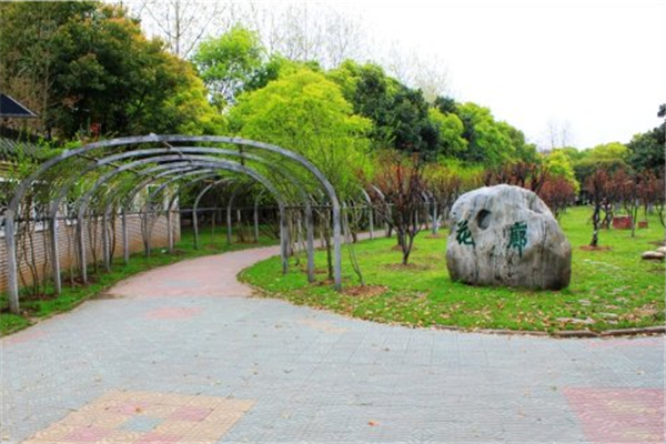 漢水公園:海綿改造讓老舊公園煥發新生命