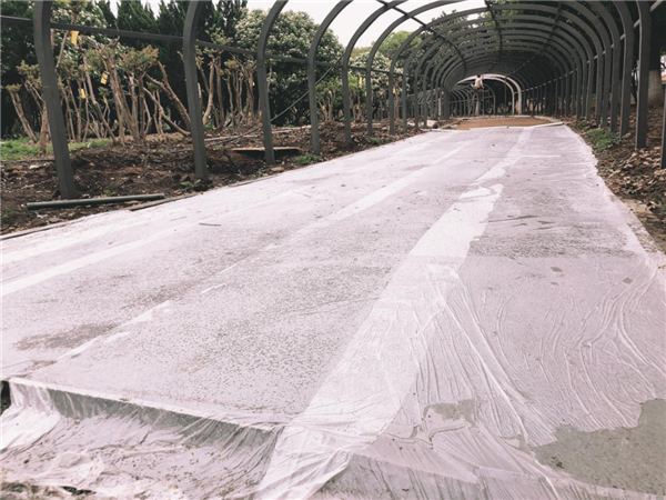 漢水公園:海綿改造讓老舊公園煥發新生命