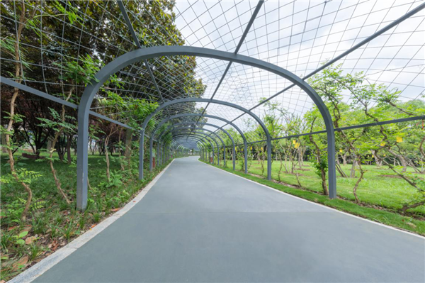 漢水公園:海綿改造讓老舊公園煥發新生命