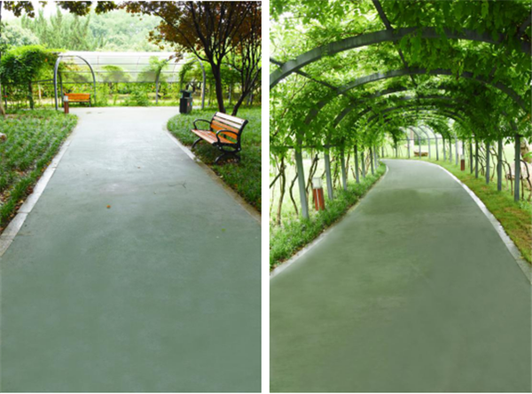 漢水公園:海綿改造讓老舊公園煥發新生命