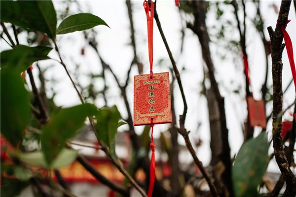 偶木景觀|千年陸坊:心學故里的時代新生