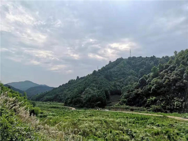 直播預告|楊棋：九華霄云谷設計分享