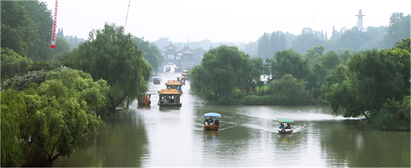 張曉鳴:審美引導也是園林人的使命