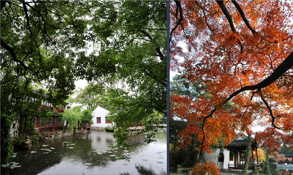 張曉鳴:審美引導也是園林人的使命