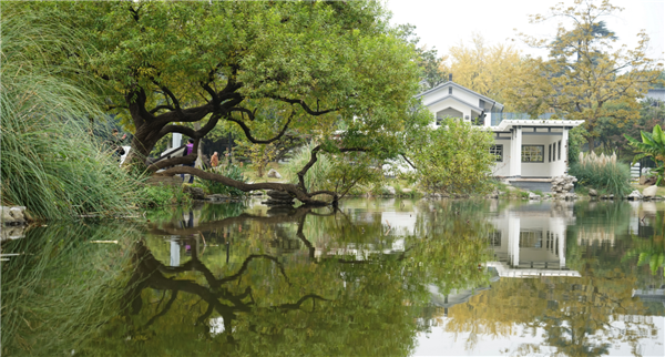 張曉鳴:審美引導也是園林人的使命