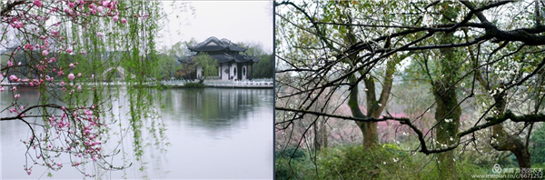 張曉鳴:審美引導也是園林人的使命