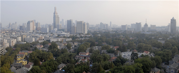 張曉鳴:審美引導也是園林人的使命