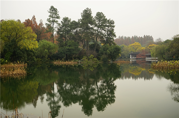 張曉鳴:審美引導也是園林人的使命