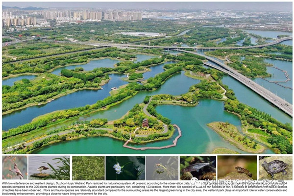 蘇州園林設(shè)計(jì)院榮獲2020（IFLA）AAPME杰出獎(jiǎng)