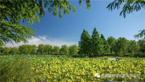 蘇州園林設(shè)計(jì)院榮獲2020（IFLA）AAPME杰出獎(jiǎng)