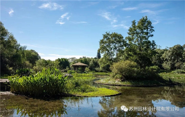 蘇州園林設(shè)計(jì)院榮獲2020（IFLA）AAPME杰出獎(jiǎng)