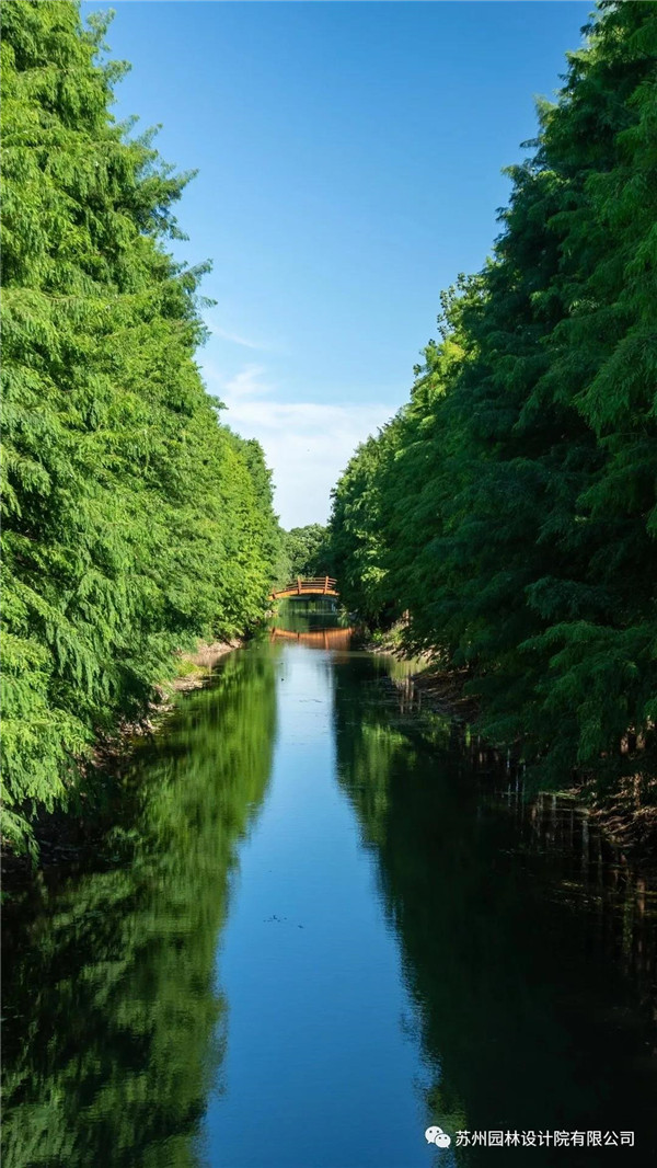 蘇州園林設(shè)計(jì)院榮獲2020（IFLA）AAPME杰出獎(jiǎng)