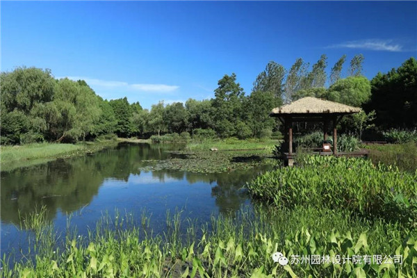 蘇州園林設(shè)計(jì)院榮獲2020（IFLA）AAPME杰出獎(jiǎng)