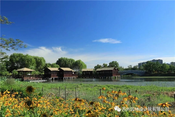 蘇州園林設(shè)計(jì)院榮獲2020（IFLA）AAPME杰出獎(jiǎng)