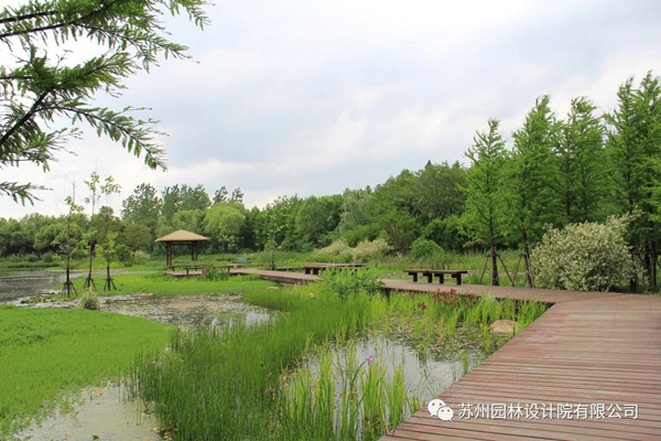 蘇州園林設(shè)計(jì)院榮獲2020（IFLA）AAPME杰出獎(jiǎng)