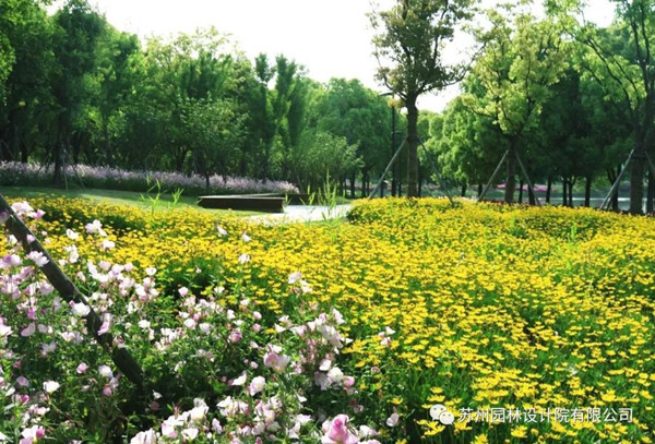 蘇州園林設(shè)計(jì)院榮獲2020（IFLA）AAPME杰出獎(jiǎng)