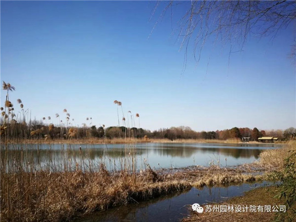 蘇州園林設(shè)計(jì)院榮獲2020（IFLA）AAPME杰出獎(jiǎng)