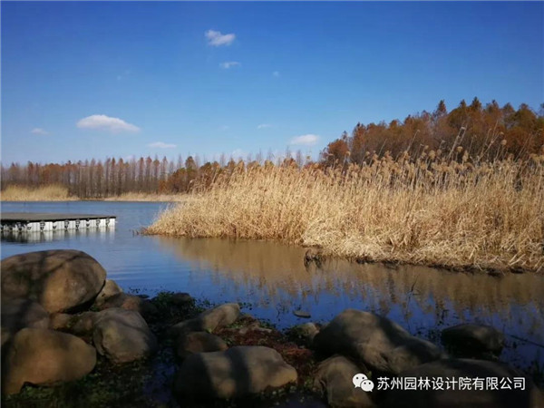 蘇州園林設(shè)計(jì)院榮獲2020（IFLA）AAPME杰出獎(jiǎng)