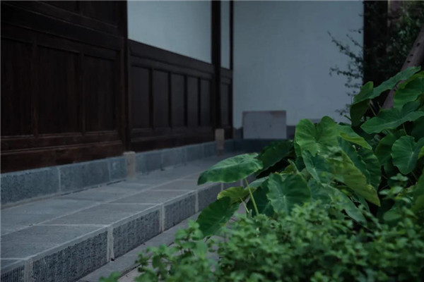 景虎景觀丨官塘小村·宅里